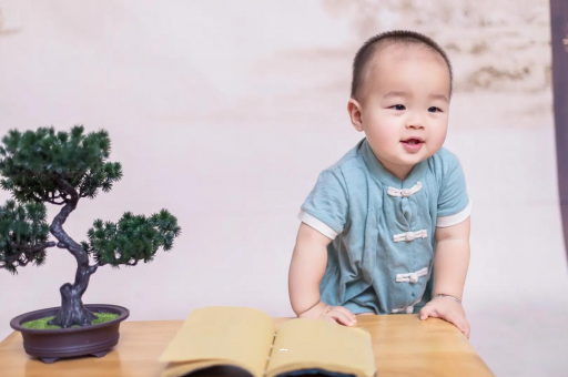 义乌可爱的企鹅宝宝